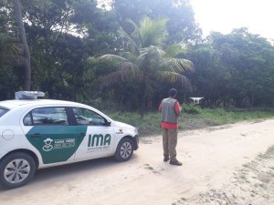Operação Mata Atlântica em Pé identifica e coíbe crimes ambientais em Alagoas