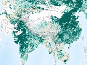 Estudo da Nasa mostra que planeta está 'mais verde' que há 20 anos