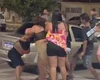 Confusão e agressões: evento de pagode é interrompido por briga no Fernão Velho