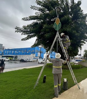 Prefeitura inicia montagem da Vila de São João no Parque do Centenário