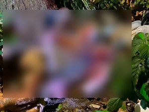 Homem é executado a tiros às margens da linha férrea em Arapiraca