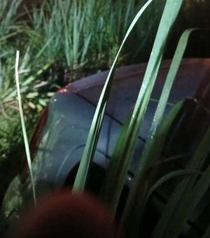 Homem é encontrado morto dentro de carro em canavial no Benedito Bentes, em Maceió