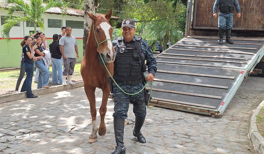Cavalo da PM-AL é doado ao Ifal para uso em ensino e pesquisa agropecuária