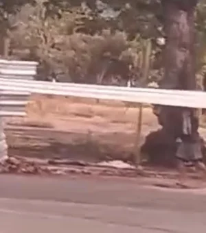 Guarda Municipal prende suspeitos de furtar tapumes na Praça Sinimbu