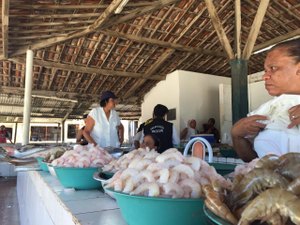 Preços: Procon divulga pesquisa de produtos para Semana Santa