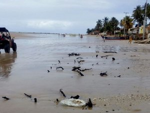 Empresário alerta sobre riscos para veículos em praia do Litoral Sul de Alagoas
