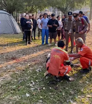 Elefante pisoteia e mata três pessoas em parque na Tailândia