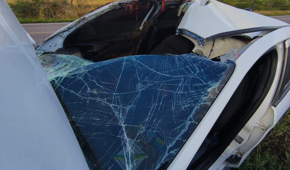 Carro de vereador de Pariconha bate em cavalo a caminho de Pilar
