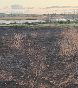 [Vídeo] Incêndio que deixou Arapiraca coberta por fumaça teve início na zona rural de Lagoa da Canoa