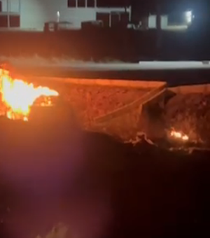 Carro pega fogo após cair de ribanceira na AL-220, no trevo de acesso a Olivença