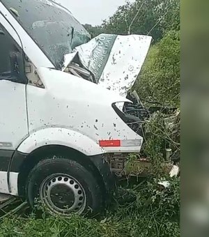 Van colide com dois cavalos soltos na pista em Maravilha, Alagoas