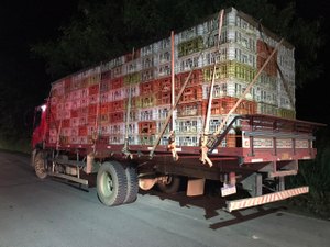 [Vídeo] BPRv apreende carga com 1.872 mil frangos em União dos Palmares