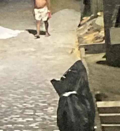 Suspeito de praticar homicídio é preso com drogas e arma em Rio Largo