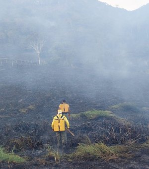 Em três meses, AL registra mais da metade de territórios afetados por queimadas de 2022