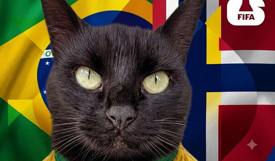 Gato vidente que acertou resultados da Copa faz previsão para Brasil x Noruega