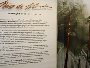 Há 120 anos nascia Nise da Silveira, a 'psiquiatra rebelde'