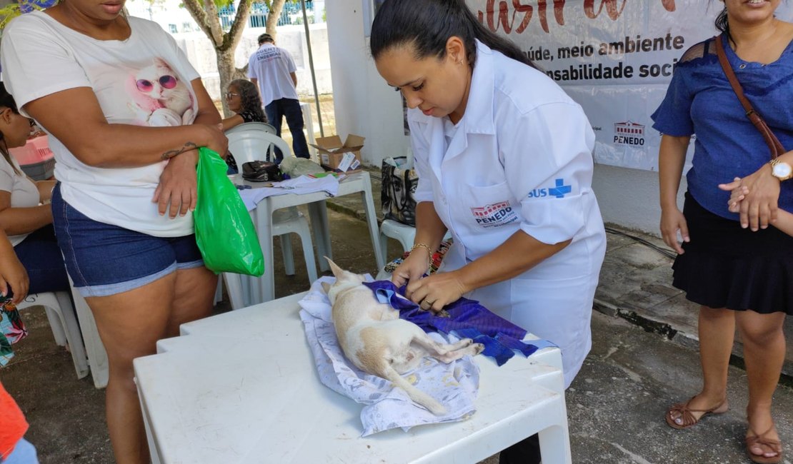 Em Penedo: Programa Castra Pet realiza castração de 40 cães e gatos