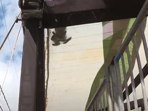 MPT notifica Prefeitura de Maceió após morte de trabalhador em estrutura do São João