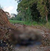 Corpo carbonizado é encontrado em área pertencente a usina em Rio Largo