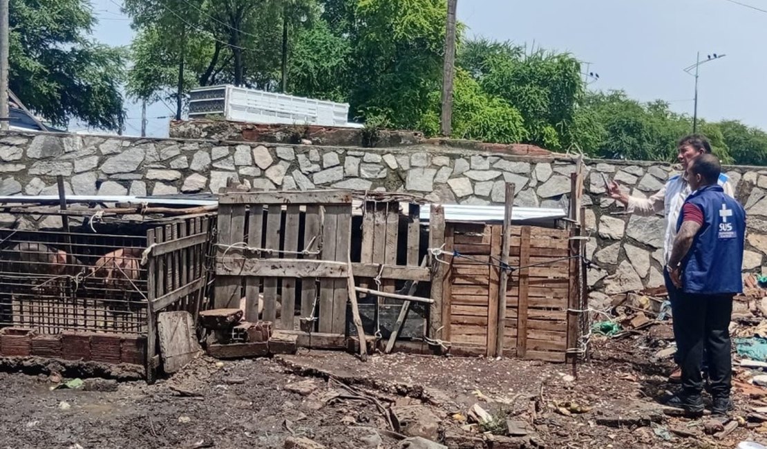 Vigilância Sanitária notifica pocilgas clandestinas no bairro da Levada