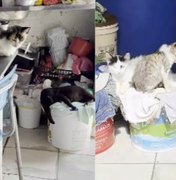 Família pede ajuda para retirar idosos de casa com lixo e animais em Arapiraca