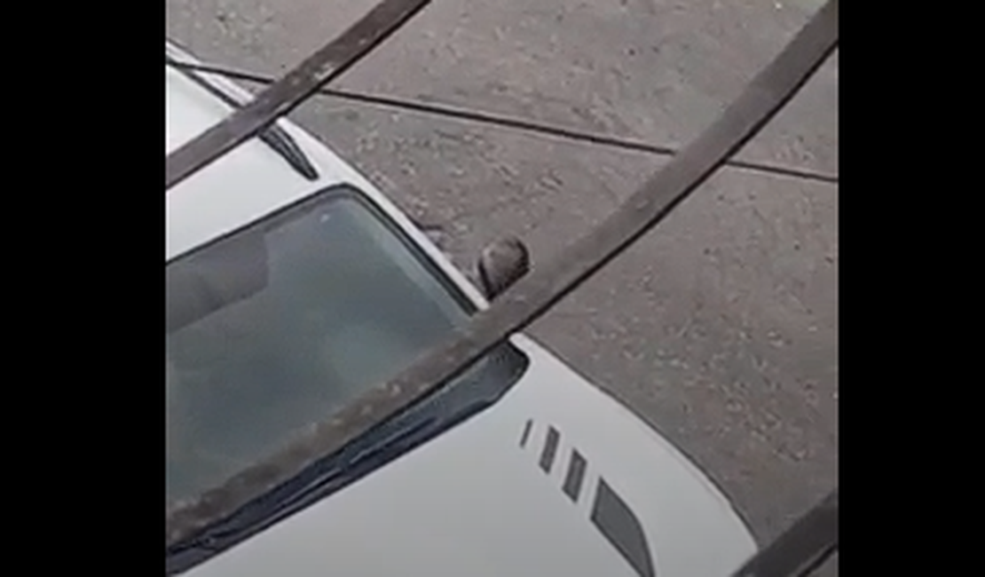 Servidor é exonerado após usar carro de órgão público para ato sexual