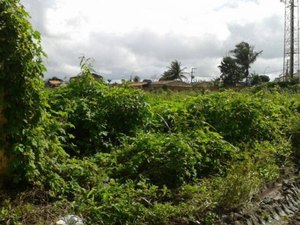 Menor de 17 anos é estuprada no bairro Novo Horizonte em Arapiraca