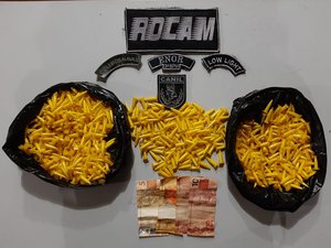 Cão da PM fareja sacola enterrada com quase mil pinos de cocaína, em Arapiraca 