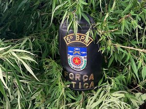 “Pastores” são presos em suposta igreja onde fiéis cultivavam e consumiam maconha