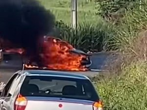 Carro pega fogo após acidente em rodovia de Porto Calvo