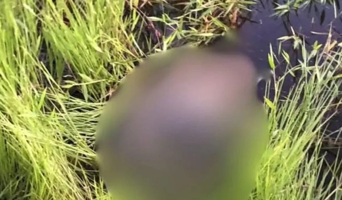 Corpo é encontrado enrolado em lona e submerso em lago na zona rural de Porto Real do Colégio