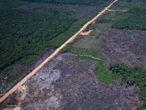 Alertas de desmatamento caem 35% na Amazônia e 6% no Cerrado