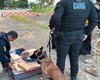 Ônibus é interceptado com mais de 30kg de maconha em São Sebastião