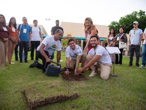 Arapiraca se consolida como referência em arborização urbana no Nordeste