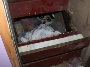 Menina desaparecida há dois anos é encontrada viva em quarto secreto