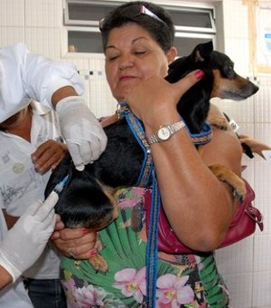 Campanha de vacinação contra raiva em cães e gatos inicia nesta segunda-feira