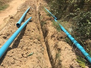 Casal implanta rede para atender pólo multissetorial em Palmeira dos Índios