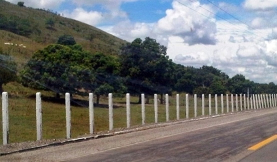 Corpo de um homem é encontrado em buraco na zona rural de Palmeira dos Índios