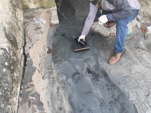 Multas contra Verde Alagoas somam R$ 750 mil em Maragogi