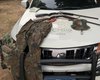 Operações ambientais resultam em apreensão de aves silvestres, armas e munições na Zona da Mata e Agreste de Alagoas