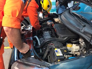 Bombeiros resgatam filhote de gato em motor de carro, em Arapiraca