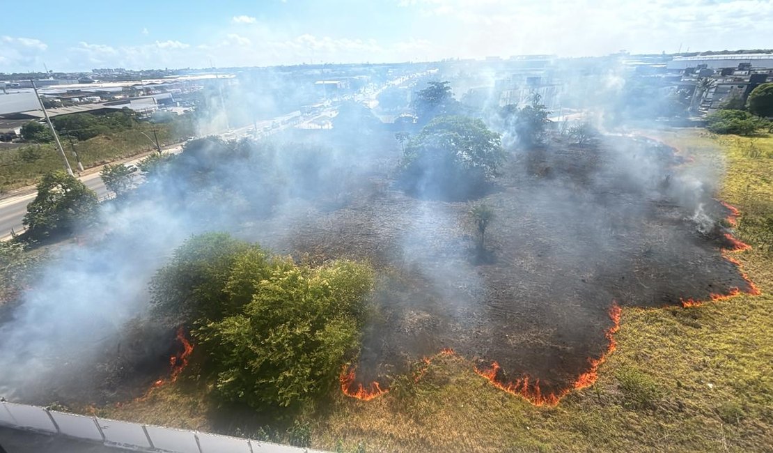 Incêndio de grandes proporções atinge vegetação na Avenida Menino Marcelo