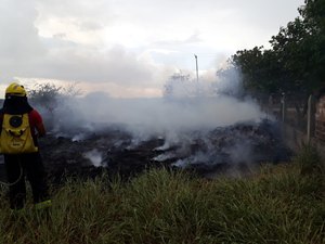 Bombeiros são acionados para incêndio em vegetação na cidade de Arapiraca