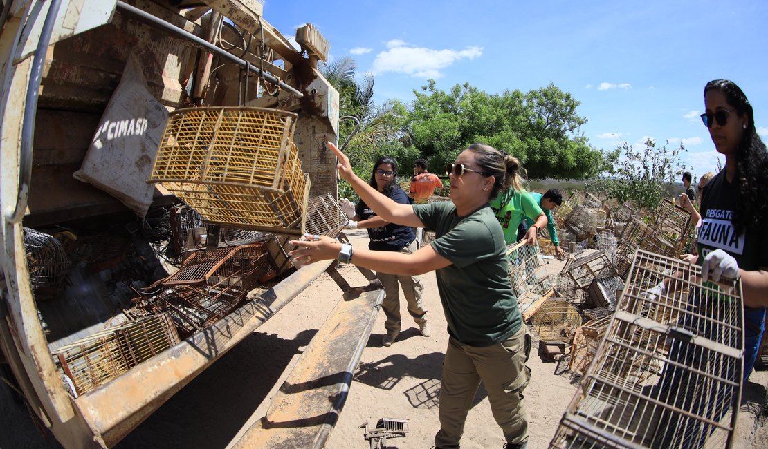 Cativeiros de sofrimento e solidão, 600 gaiolas apreendidas pela FPI do Rio São Francisco são destruídas