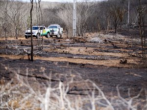 FPI flagra mais de dois hectares de área desmatada em São José da Tapera