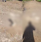 Populares encontram partes de corpo esquartejado em zona rural de São Luís do Quitunde