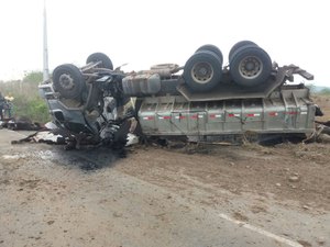 Caminhão capota após colidir com vacas que atravessavam rodovia