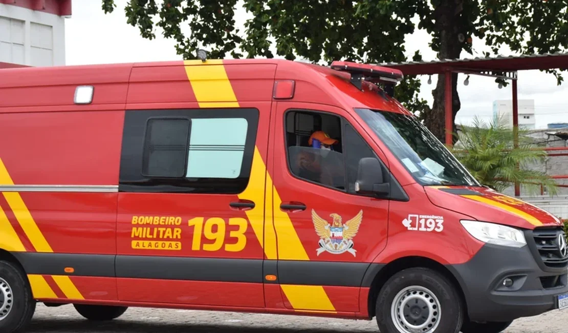 Jacaré é capturado após ser encontrado escondido embaixo de veículos em Arapiraca