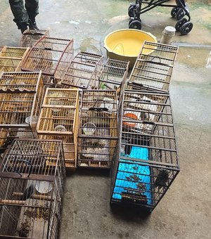 PM-AL resgata 89 aves silvestres durante fiscalização do Batalhão Ambiental no interior