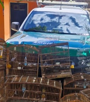Operação da PM em Ibateguara apreende armas de fogo, munições e aves silvestres